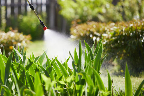 Tamper-Resistant Bait Stations for Rodents in Cross Plains