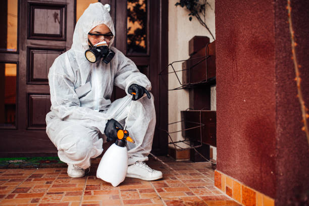 Attic and Crawl Space Rodent Treatment in Cross Plains