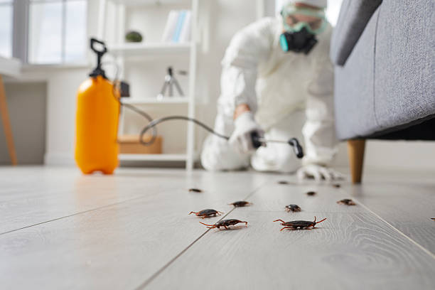 Commercial Rodent Management in Cross Plains